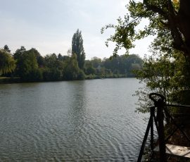 DSC_2322_DxO